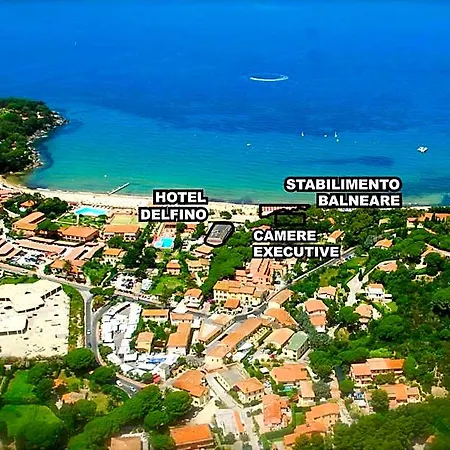 Delfino بروكيو